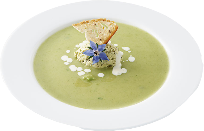 BROCCOLI_SOUP.png