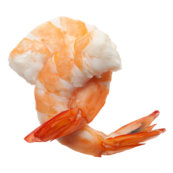 CREMA_GAMBERETTI_SHRIMP.png