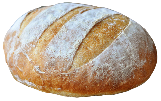 DECORATION_GRIT.png