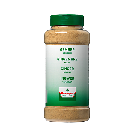 GINGER_GROUND.png