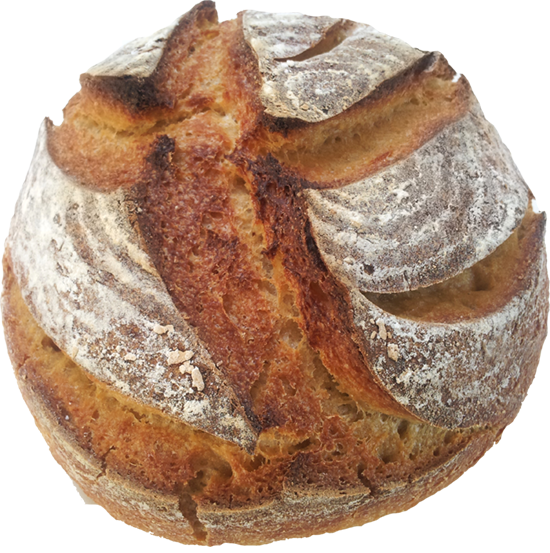 IREKS_PROMAISO.png
