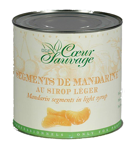 MANDARINE_SEGMENTS_1f2a2a2a5d8cf24fc3813758219a8728.png