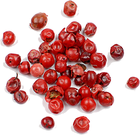 PINK_BERRIES_WHOLE.png
