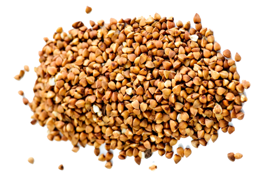 PROKORN_DECOR.png