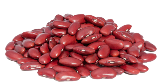 RED_KIDNEY_BEANS.png