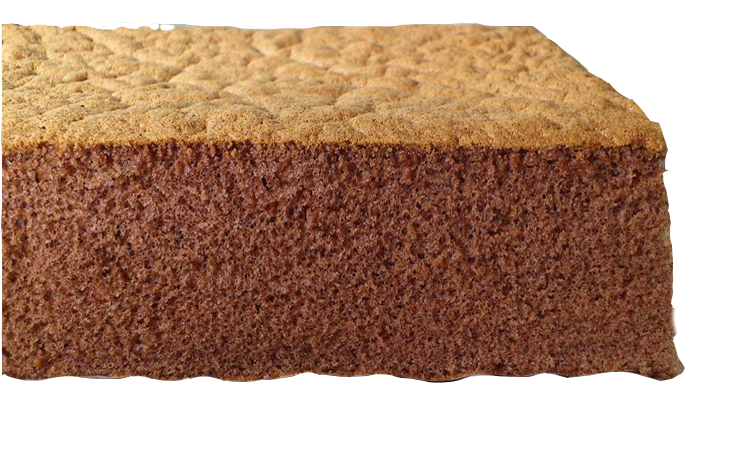 SPONGE_CAKE_GEN_PLUS_CHOCOLATE.png