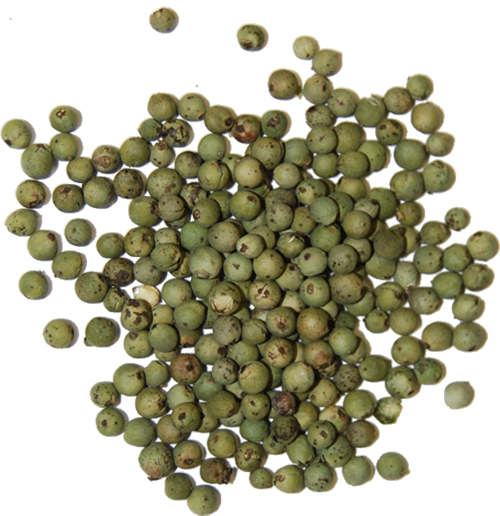 green_peppercorn_1.png