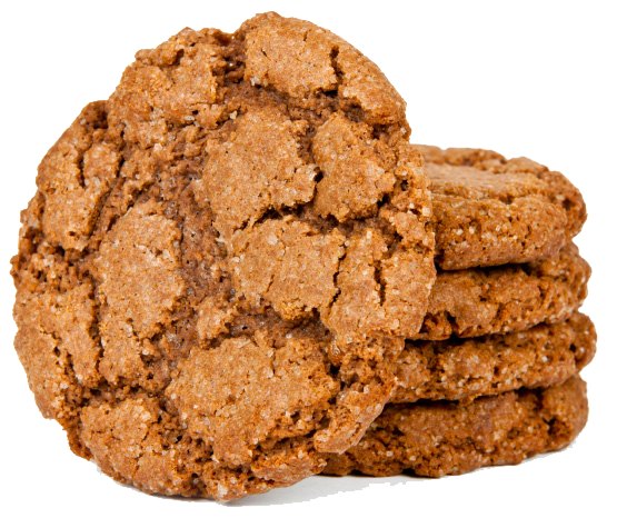 oatmeal-cookie-header.png